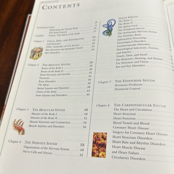 DK Hardcover Nonfiction Book: The Human Body Illustrated Guide 1995 EC - Picture 6 of 11